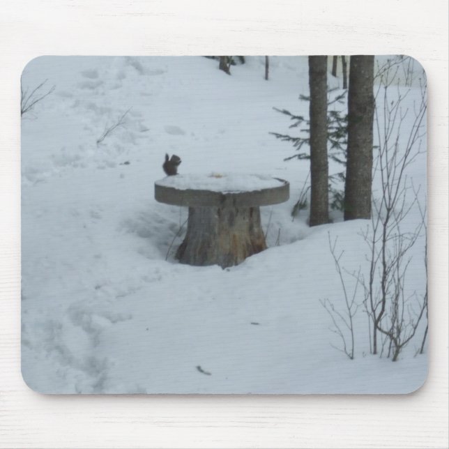 Schwarzes Eichhörnchen nach dem Frühstück Mousepad (Vorne)