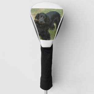 schwarzes Englisch cocker spaniel voll 2 Golf Headcover