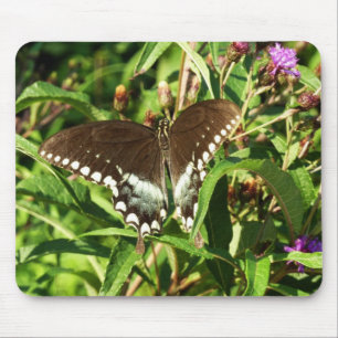 Schwarzes Frack Butterfly Naturfotografie Mousepad