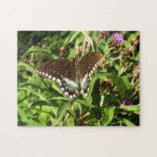 Schwarzes Frack Butterfly Naturfotografie Puzzle