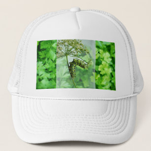Schwarzes Frack Raupe Eating Parsley Truckerkappe
