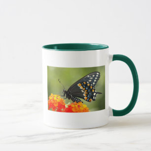 Schwarzes Frack Tasse