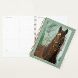 Schwarzes Friesenpferd - Kalender, Planer