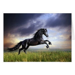 Schwarzes friesisches Pferd