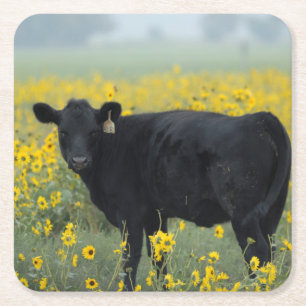 Schwarzes Kalb auf einem Feld mit Sonnenblumen Rechteckiger Pappuntersetzer