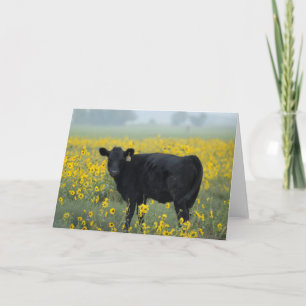 Schwarzes Kalb in einem Feld der Sonnenblumen Karte