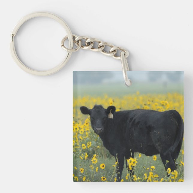 Schwarzes Kalb in einem Feld der Sonnenblumen Schlüsselanhänger (Vorderseite)