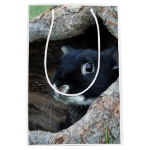 Schwarzes Kaninchen im Hollow eines Baumes Mittlere Geschenktüte