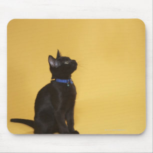Schwarzes Kätzchen im Kragen Mousepad