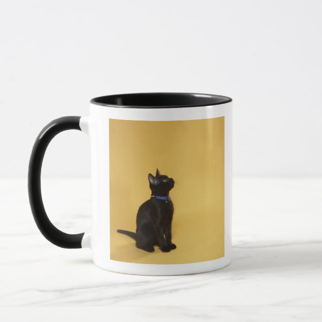 Schwarzes Kätzchen im Kragen Tasse (Links)