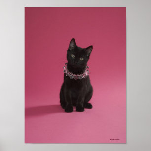 Schwarzes Kätzchen mit juwelenbesetztem Halsband Poster