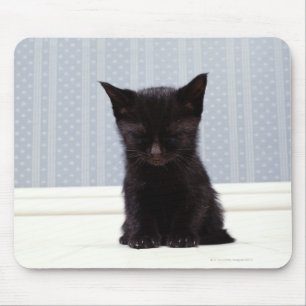 SCHWARZES KÄTZCHEN-SCHLAFEN MOUSEPAD