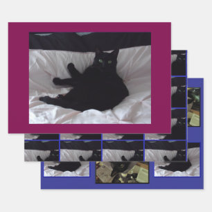 Schwarzes Katzen-Geschenkpapier-Set mit 3 Bögen Geschenkpapier Set
