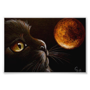 SCHWARZES KATZENPROFIL ORANGER MOND HALLOWEEN NACH FOTODRUCK