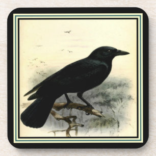 Schwarzes Krähen-Untersetzer-Set Getränkeuntersetzer