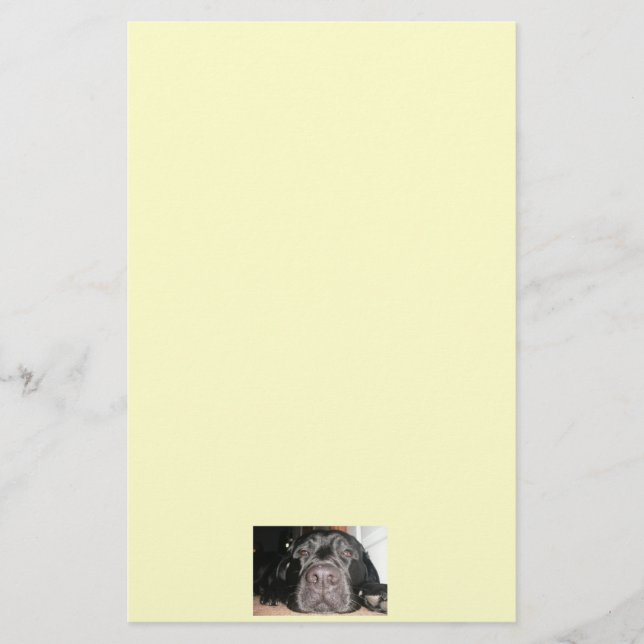 Schwarzes Labor Briefpapier (Vorderseite)
