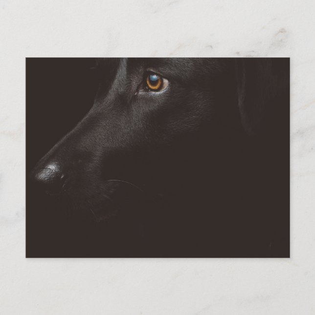 schwarzes Labor Feiertagspostkarte (Vorderseite)