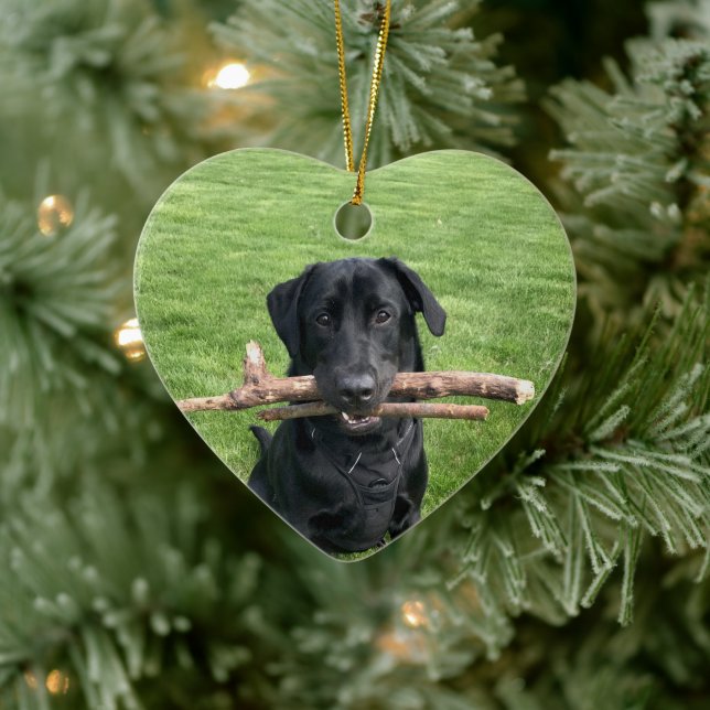 Schwarzes Labor mit zwei Sticks Dog-Foto Keramik Ornament (Baum)