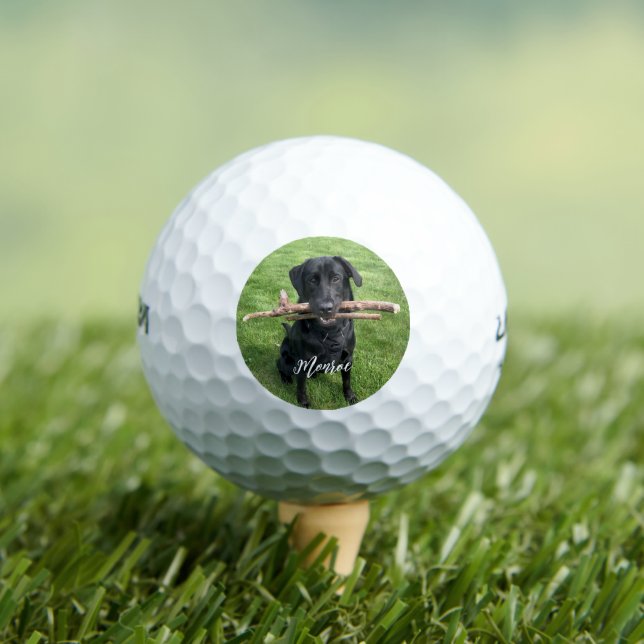 Schwarzes Labor mit zwei Sticks Dog Personalisiert Golfball (Insitu T-Shirt)