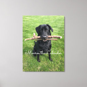 Schwarzes Labor mit zwei Sticks Hund Foto und Name Leinwanddruck
