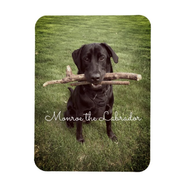 Schwarzes Labor mit zwei Sticks Hund Foto und Name Magnet (Vertikal)