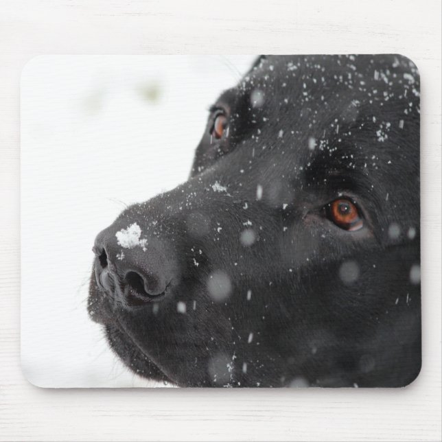 Schwarzes Labor Mousepad (Vorne)
