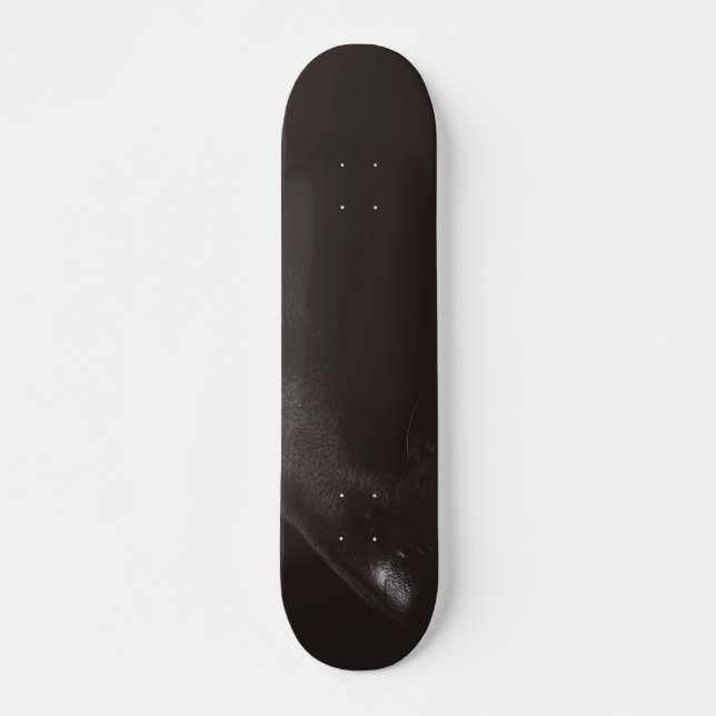 schwarzes Labor Skateboard (Vorne)
