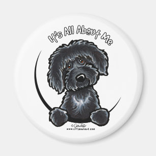 Schwarzes Labradodle IAAM Magnet