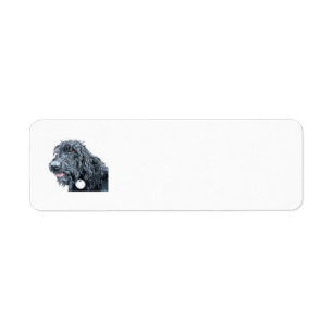 Schwarzes Labradoodle