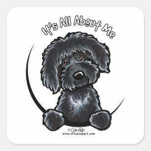 Schwarzes Labradoodle IAAM Quadratischer Aufkleber