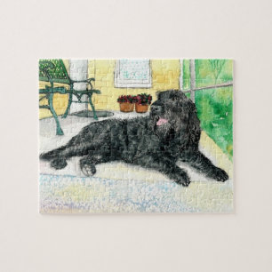 Schwarzes Labradoodle Puzzle