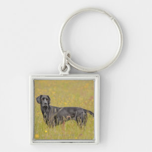 Schwarzes Labrador 16 Monate 2 Schlüsselanhänger