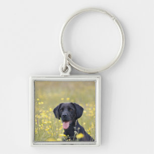 Schwarzes Labrador 16 Monate Schlüsselanhänger
