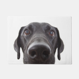 Schwarzes Labrador Closeup-Portrait Fußmatte