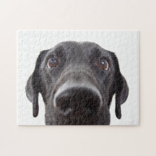 Schwarzes Labrador Closeup-Portrait Puzzle