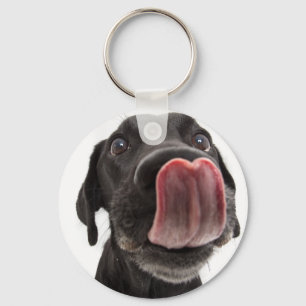 Schwarzes Labrador, das seine Nase leckt Schlüsselanhänger