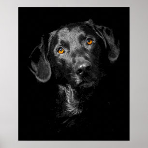 Schwarzes Labrador Dog Poster Canvas Print Inspira
