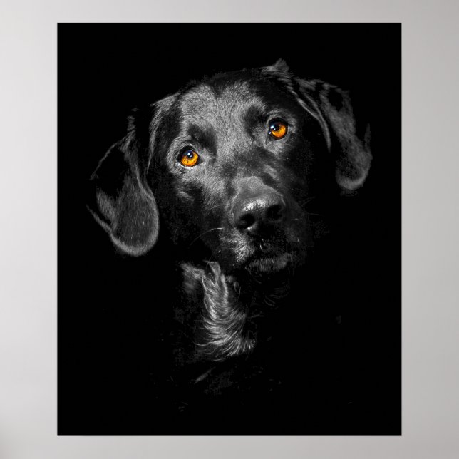 Schwarzes Labrador Dog Poster Canvas Print Inspira (Vorne)
