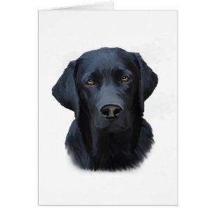 Schwarzes Labrador Hund Farbe Farbe Farbe Malerei