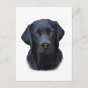 Schwarzes Labrador Hund Farbe Farbe Farbe Malerei Postkarte