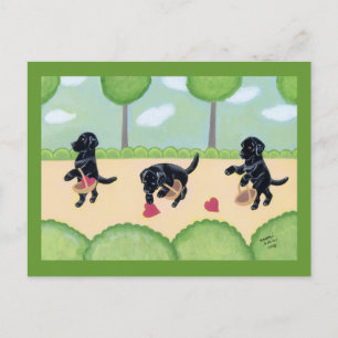 Schwarzes Labrador im Wald Postkarte