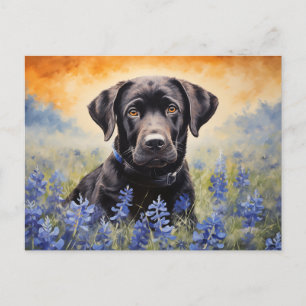 Schwarzes Labrador in Bluebonnets Postkarte