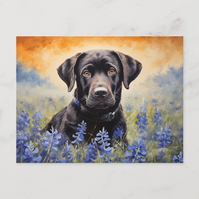 Schwarzes Labrador in Bluebonnets Postkarte (Vorderseite)