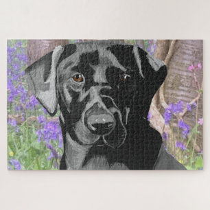 Schwarzes Labrador in einem Bluebell-Holz Puzzle