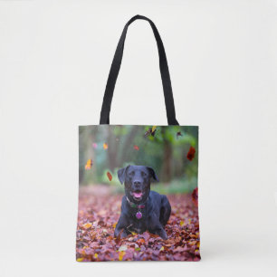 Schwarzes Labrador in Herbstlauben