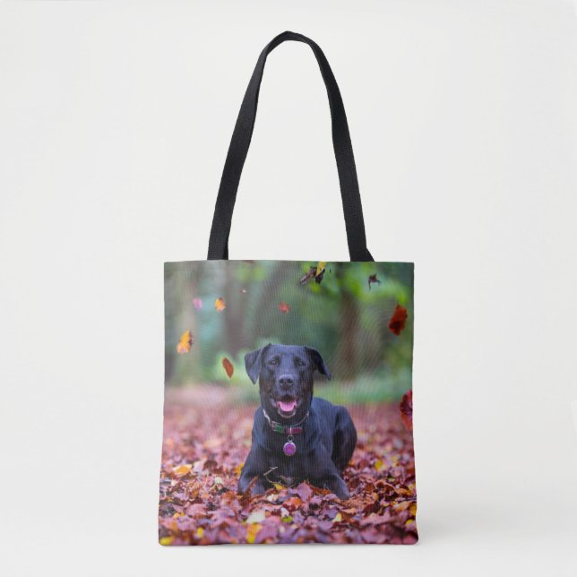 Schwarzes Labrador in Herbstlauben (Vorderseite)