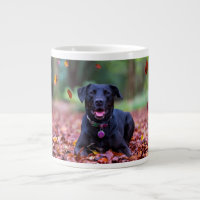 Schwarzes Labrador in Herbstlauben