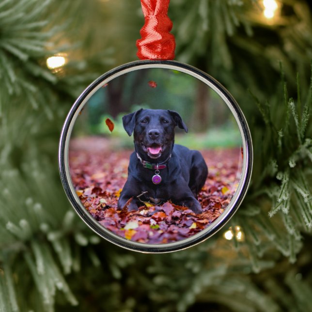 Schwarzes Labrador in Herbstlauben Ornament Aus Metall (Baum)