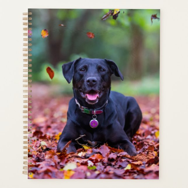 Schwarzes Labrador in Herbstlauben Planer (Vorderseite)