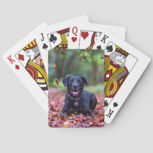 Schwarzes Labrador in Herbstlauben Spielkarten